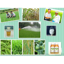 Agrochemicals Technical Weedcide Herbicide Gramoxone